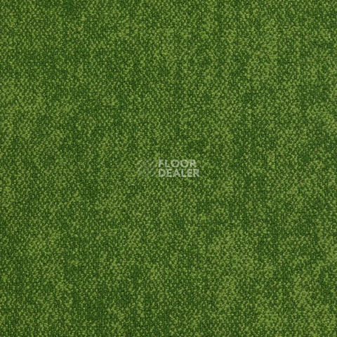 Ковролин Haima Coral 30 фото 1 | FLOORDEALER